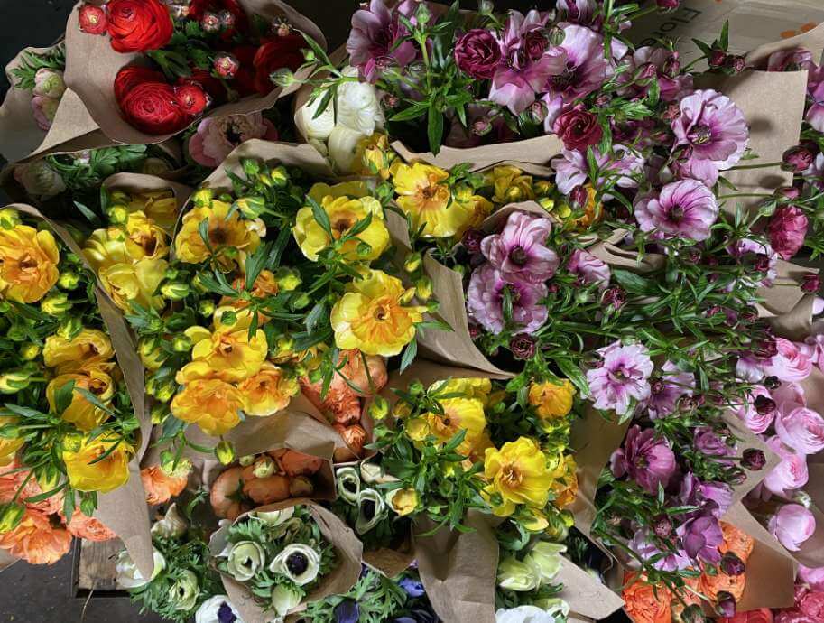 fleuriste à Saint-Henri